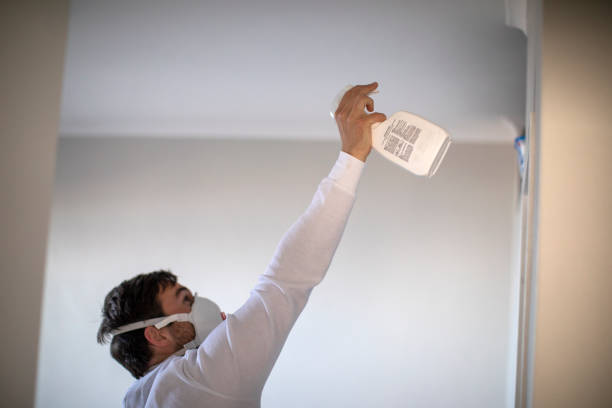 Office Mold Removal Services in Perryopolis, PA