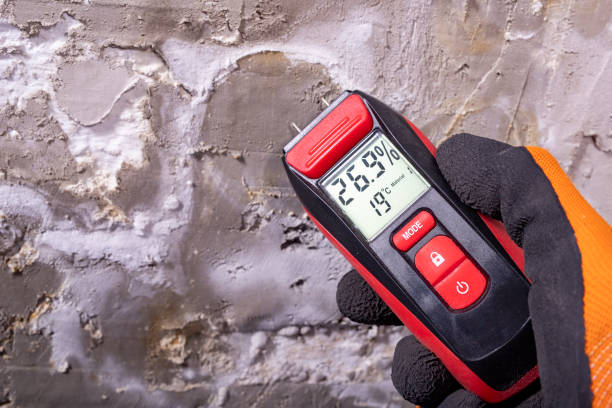 Best Mold Remediation Experts  in Perryopolis, PA