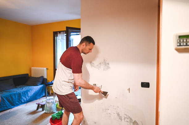 Best Black Mold Removal  in Perryopolis, PA